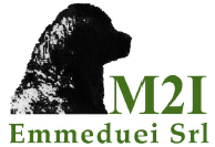 M2I